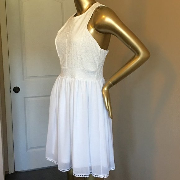 FRANCESCA'S Lace and Chiffon Skater Dress - Picture 5 of 10